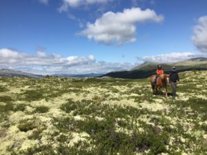 Et barn får ri på heste på fjellet