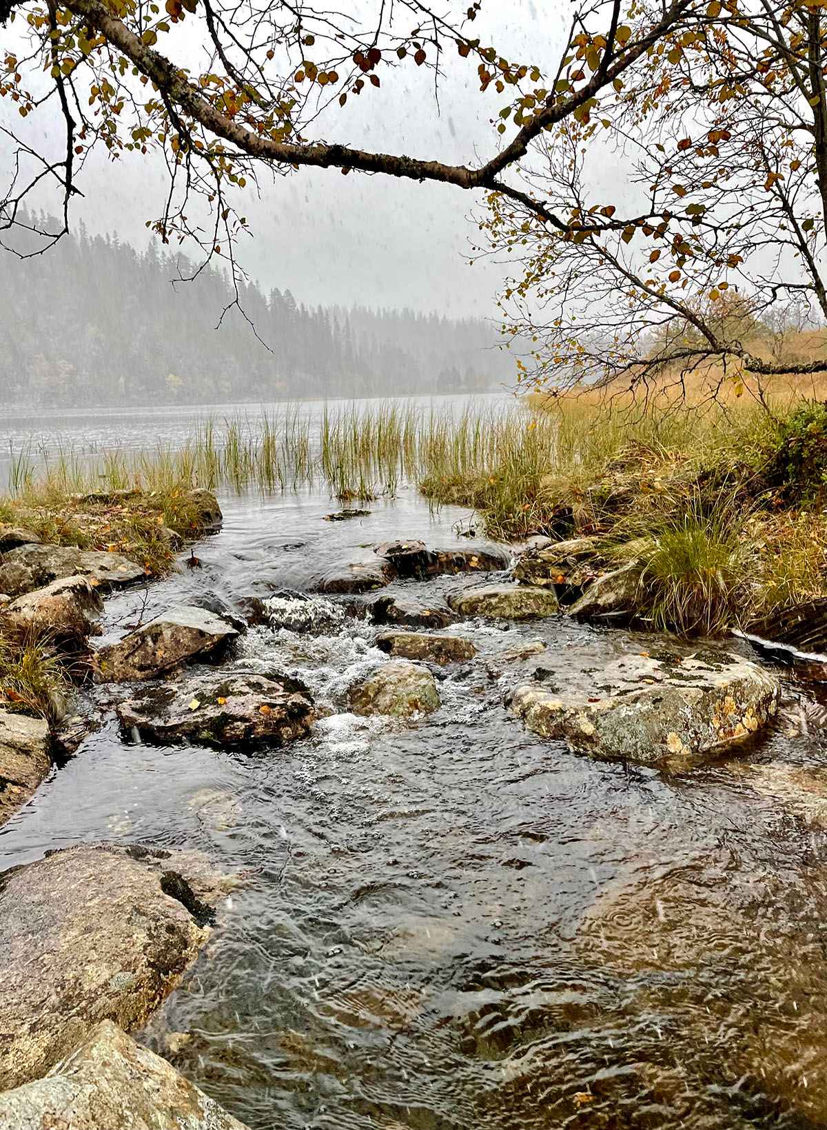 et vann med steiner og natur